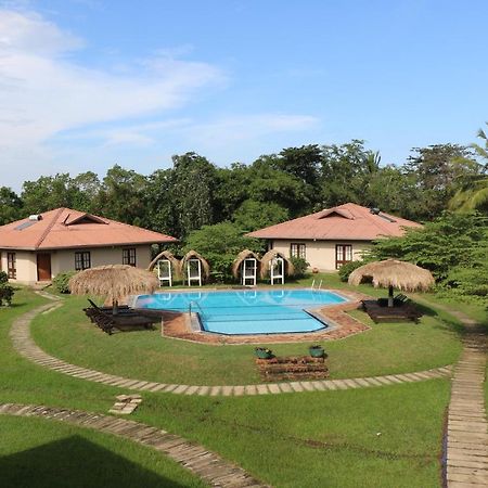 Hibiscus Garden Hotel Tissamaharama Zewnętrze zdjęcie
