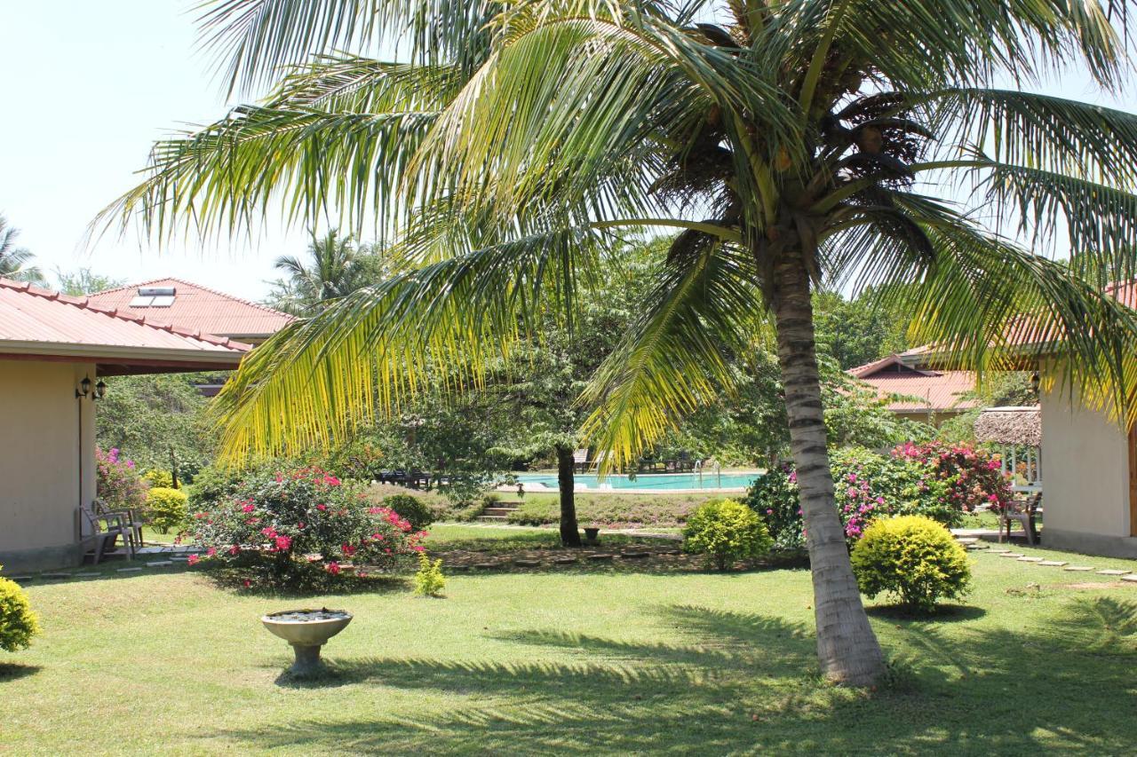 Hibiscus Garden Hotel Tissamaharama Zewnętrze zdjęcie