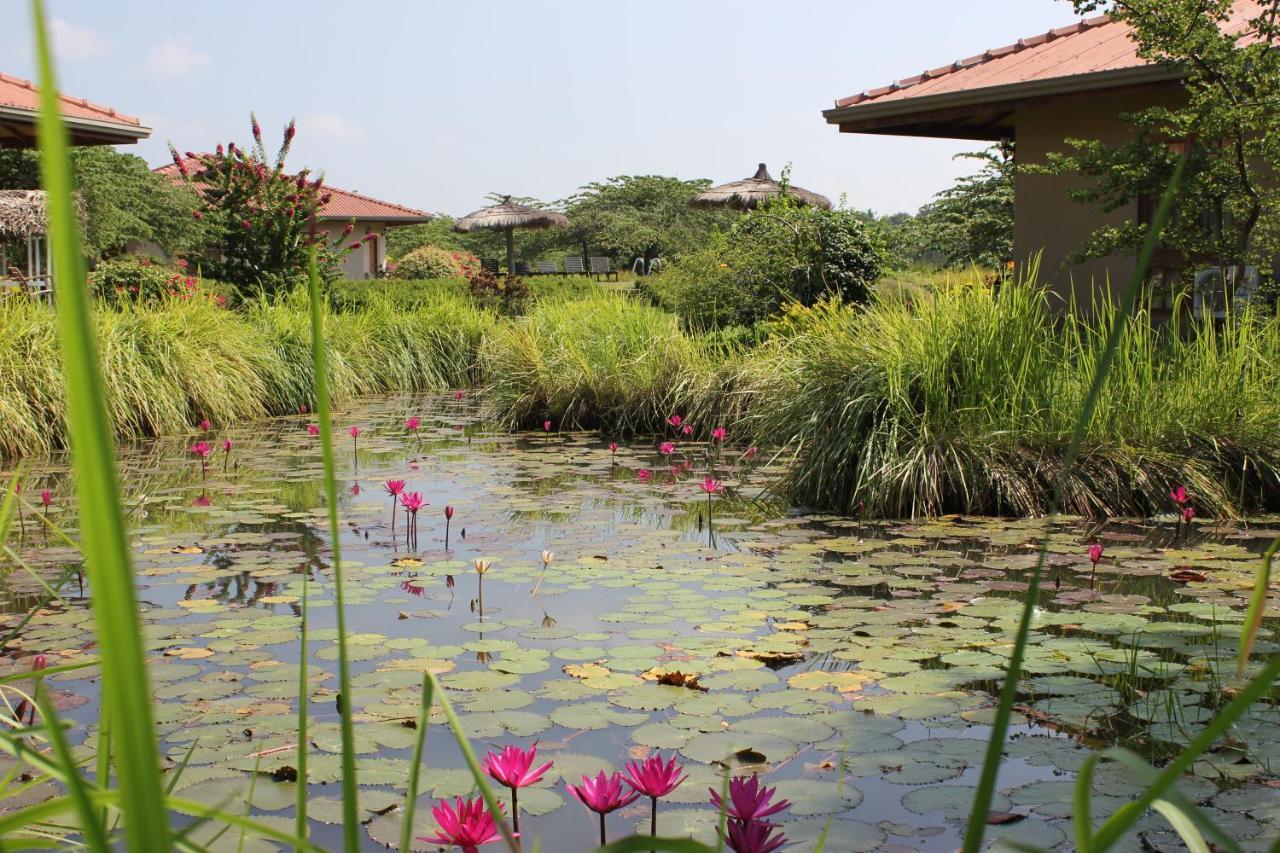 Hibiscus Garden Hotel Tissamaharama Zewnętrze zdjęcie