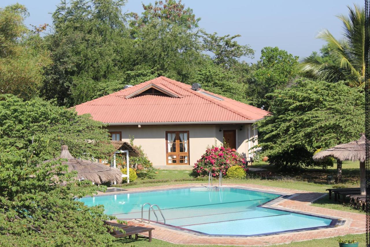 Hibiscus Garden Hotel Tissamaharama Zewnętrze zdjęcie