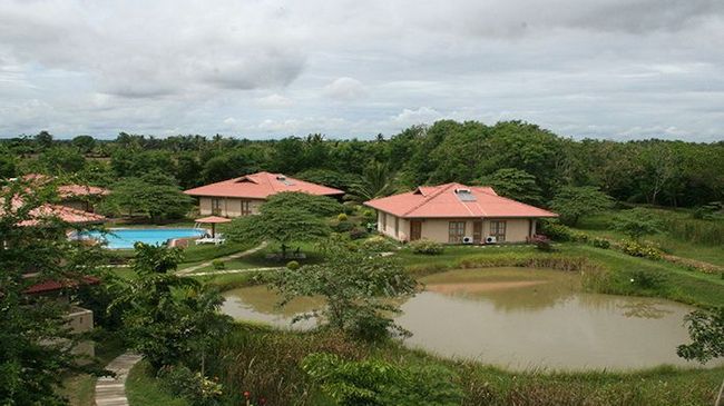 Hibiscus Garden Hotel Tissamaharama Zewnętrze zdjęcie