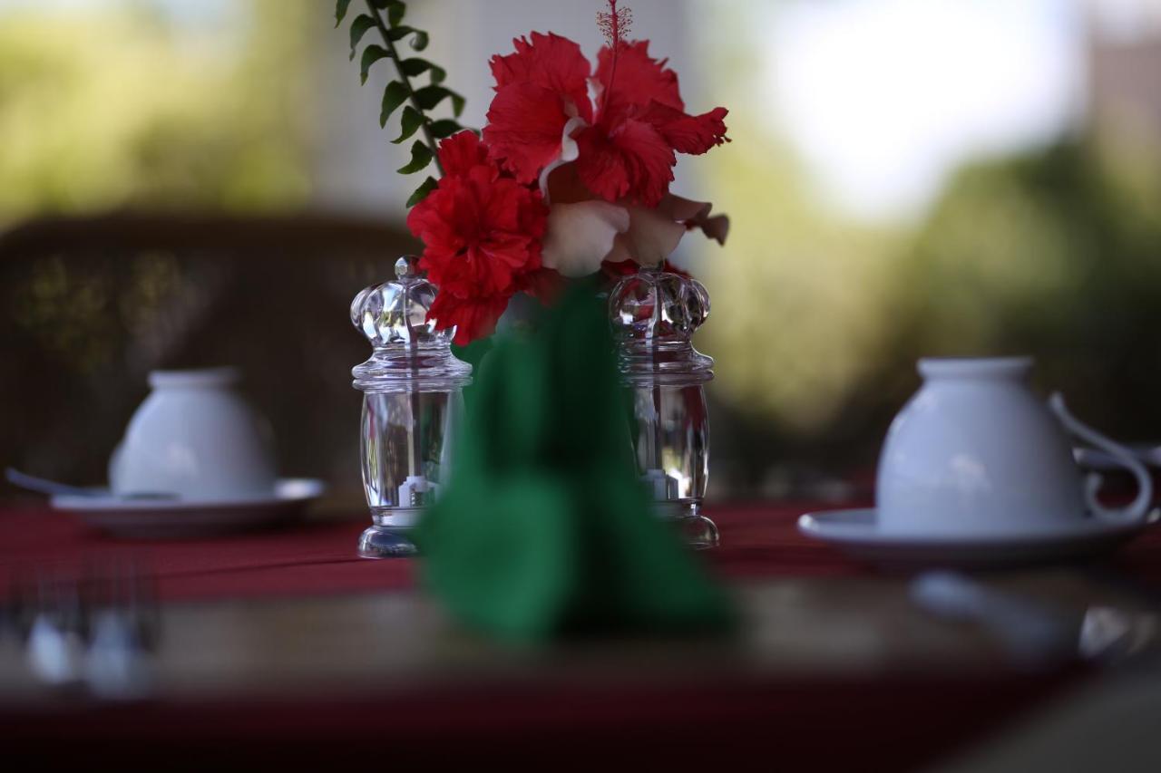 Hibiscus Garden Hotel Tissamaharama Zewnętrze zdjęcie