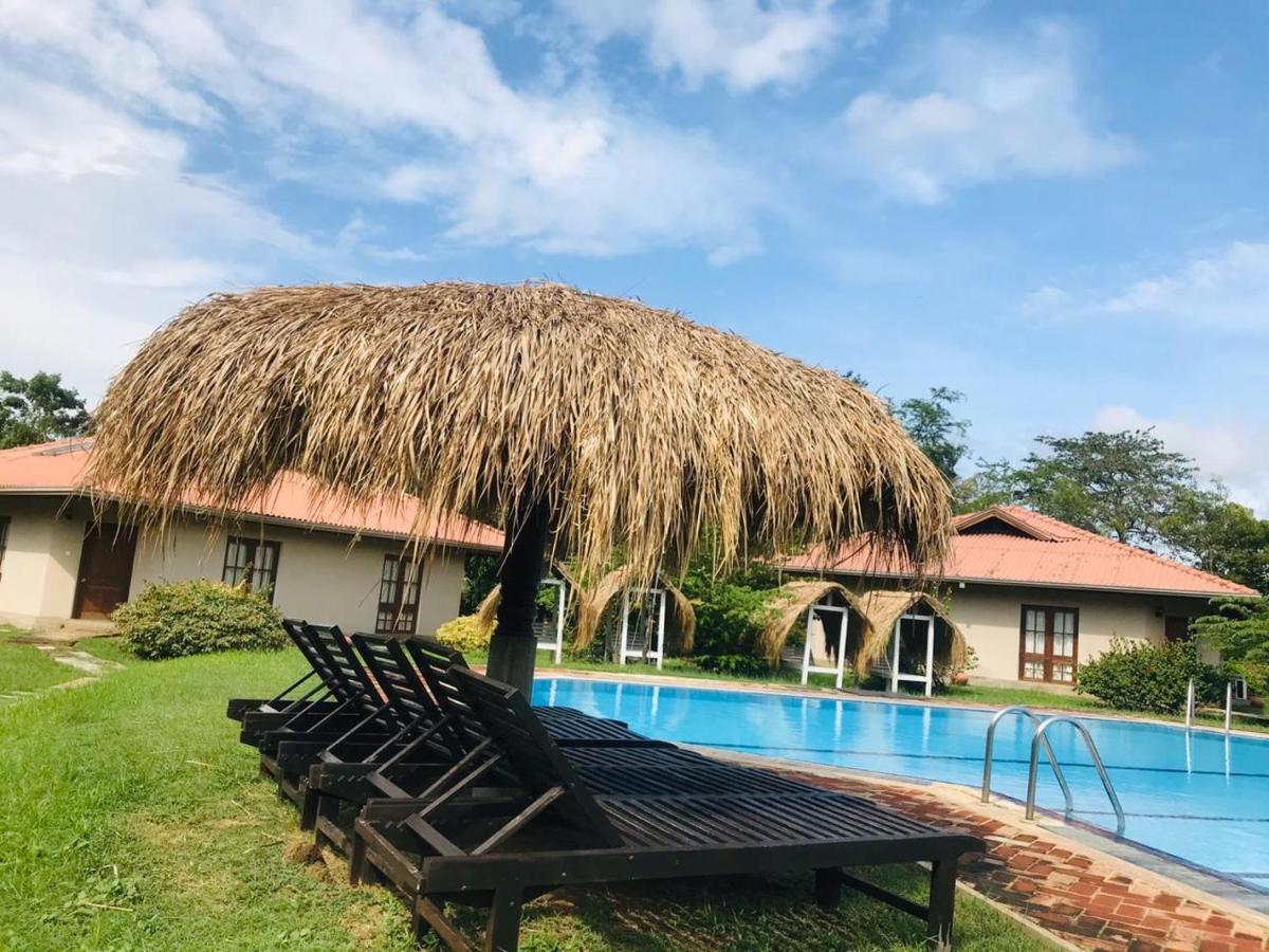 Hibiscus Garden Hotel Tissamaharama Zewnętrze zdjęcie